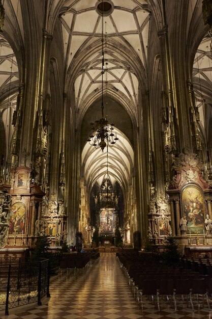 오스트리아 비엔나에있는 성 스테판 성당 내부의 수직 낮은 각도 샷