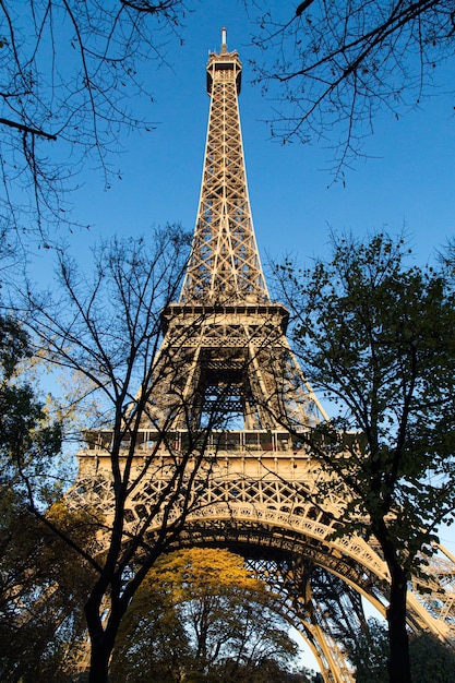 프랑스 파리에서 낮에 햇빛 아래 에펠 탑의 수직 낮은 각도보기