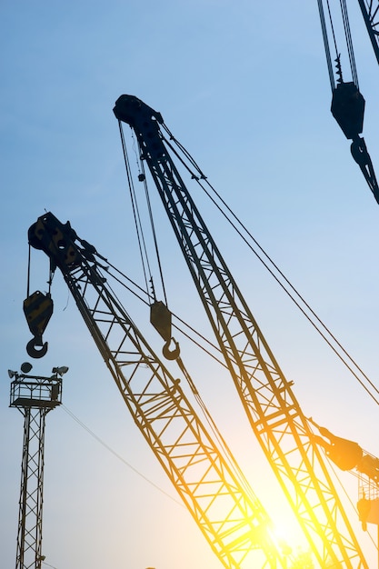 Vertical photo of a crane at sunset