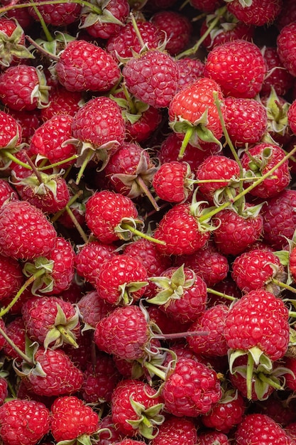 Vertical photo of fresh organic Raspberries .