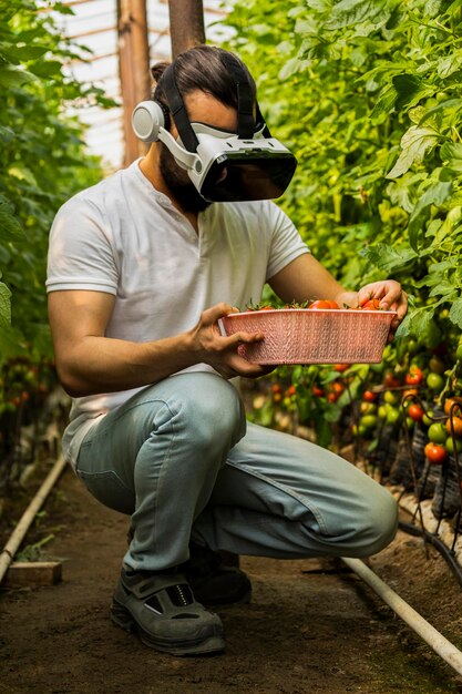 Вертикальное фото молодого человека в комплекте виртуальной реальности и держащего корзину с помидорами