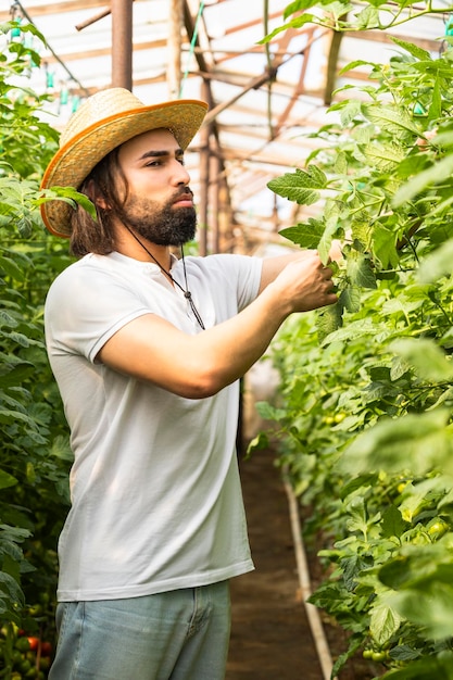 Vertical photo of young man working at the greenhouse
