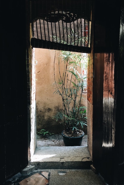 Vertical picture of a door of an old building under the sunlight at daytime