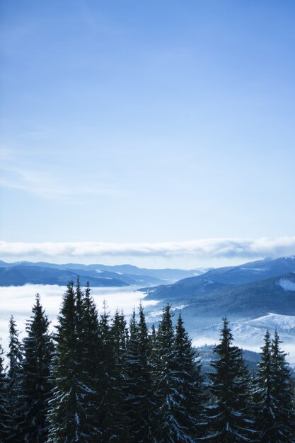 Vertical picture of hills covered in the snow and greenery under the sunlight at daytime