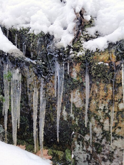 Vertical picture of icicles on a rock covered in the snow and mosses under the sunlight