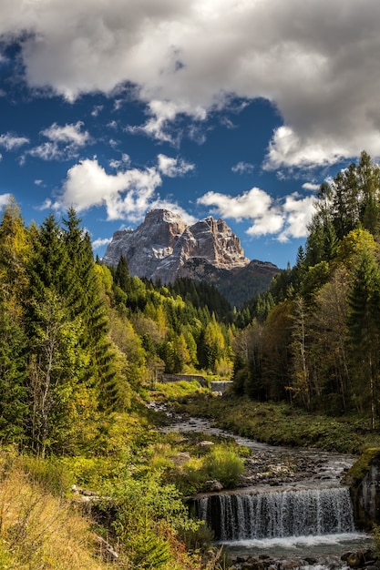 Vertical picture of a river in a forest with rocks under a cloudy sky