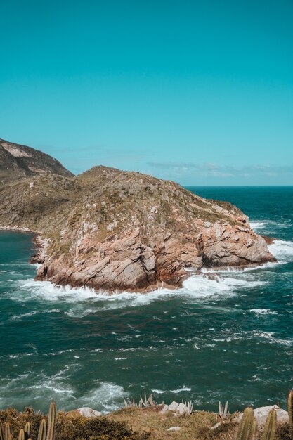 리우데 자네이루의 바다로 둘러싸인 녹지로 덮인 바위의 세로 그림