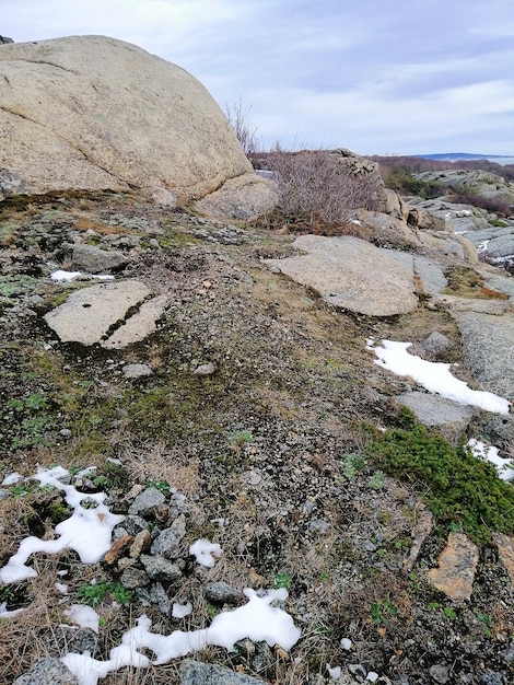 Vertical picture of rocks covered in the snow and mosses under a cloudy sky