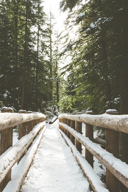 Vertical picture of a wooden bridge covered in the snow surrounded by greenery in a forest