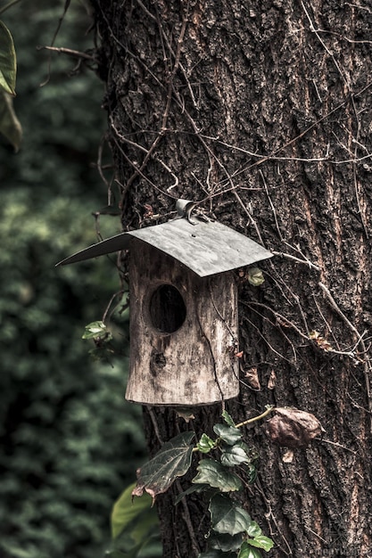 Vertical selective focus shot of a wooden birdhouse on a tree trunk