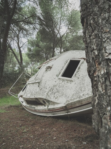 Vertical shot of an abandoned rusty boat in a forest during daytime