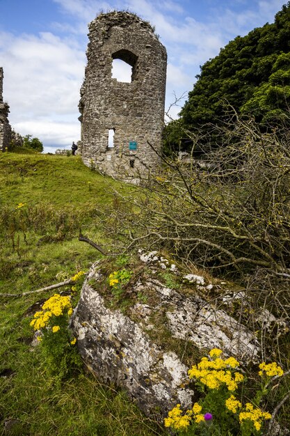 アイルランド共和国、メイヨー郡の修道院遺跡の垂直ショット