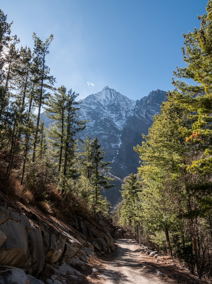 Free Photo vertical shot of annapurna himalayas, nepal
