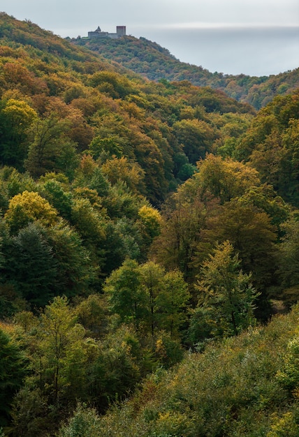 Vertical shot of the autumn in the mountain Medvednica with the castle Medvedgrad