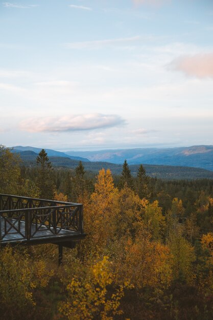 Vertical shot of a balcony over the beautiful tress with the mountains, Norway