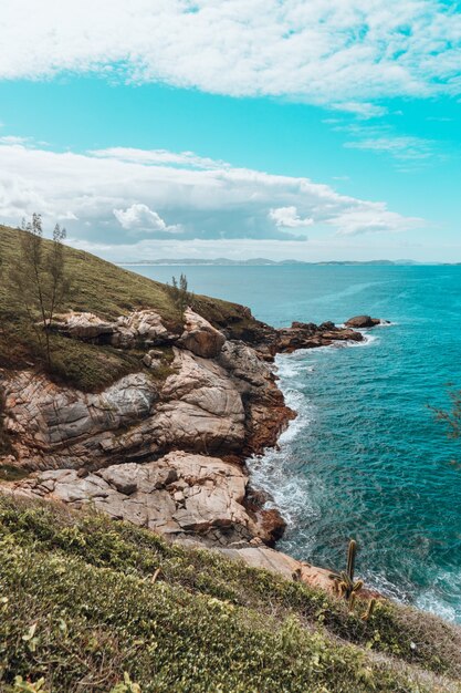 Vertical shot of a beach covered in stones and grass