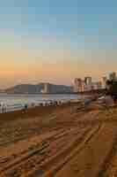 Free photo vertical shot of a beach shore with people walking around in nha trang