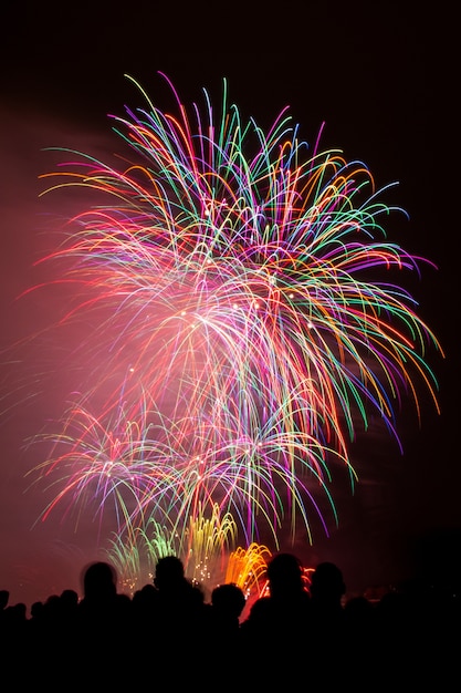 Free Photo vertical shot of beautiful colorful fireworks under the dark night sky