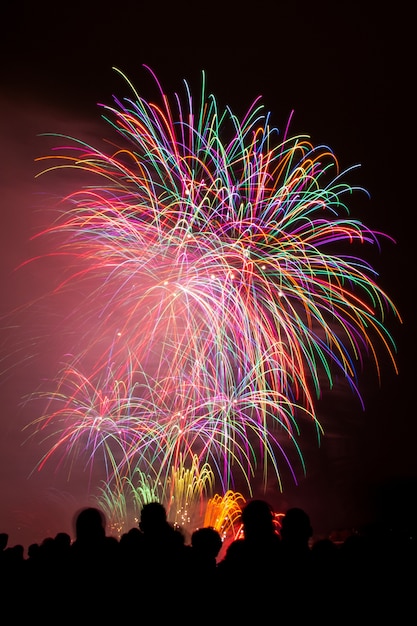 Vertical shot of beautiful colorful fireworks under the dark night sky