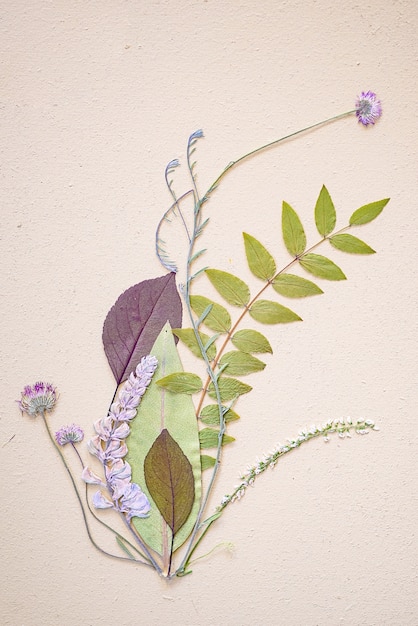 Вертикальный снимок красивой композиции из цветов и листьев на белом фоне