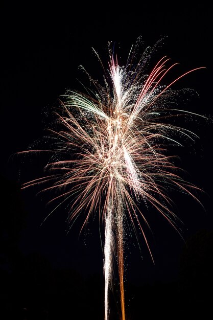 Vertical shot of a beautiful firework exploding