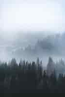 Free photo vertical shot of beautiful green trees in the forest on the foggy table