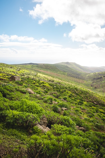 Вертикальный снимок красивой холмистой местности, покрытой зеленой растительностью
