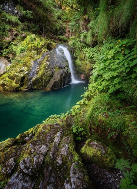 Vertical shot of a beautiful lagoon surrounded by mossy rocks and the forest in Skrad, Croatia