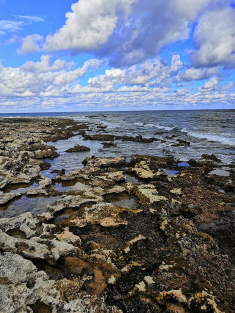 Vertical shot of a beautiful rocky beach in Malta captured on a bright sunny day