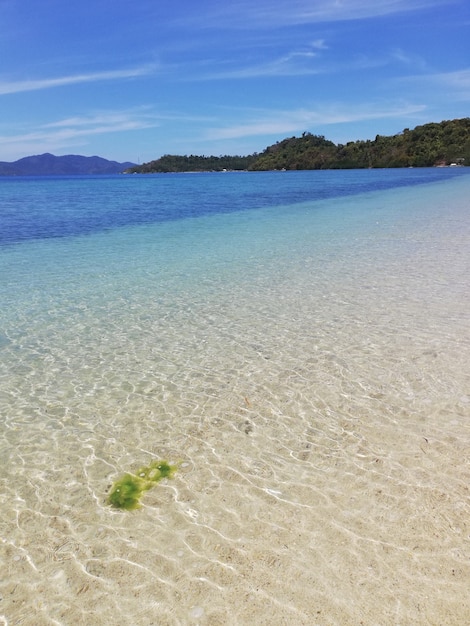 イタリアの美しい砂浜の垂直ショット