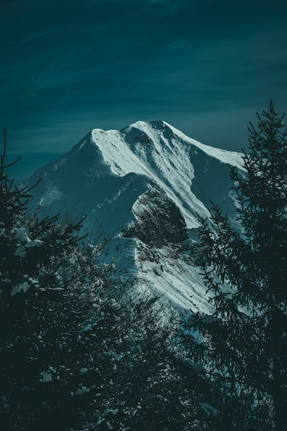 Vertical shot of a beautiful snow-covered mountain ridge and peak framed by alpine trees