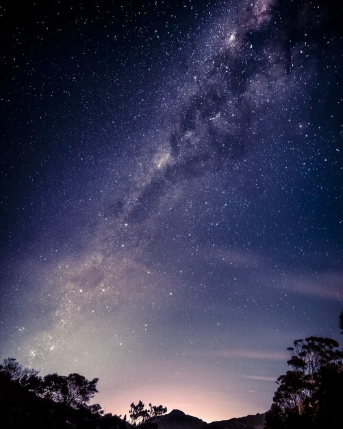 Vertical shot of a beautiful starry sky