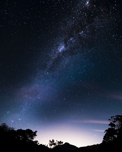 Vertical shot of a beautiful starry sky