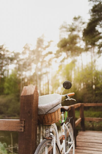 Vertical shot of a bicycle parked on a wooden bridge in the forest