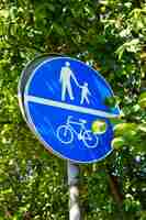 Free photo vertical shot of a blue sign with icons of people and a bicycle in the park