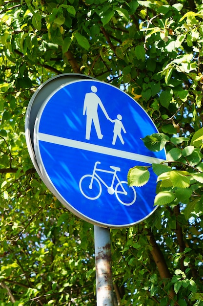 Vertical shot of a blue sign with icons of people and a bicycle in the park