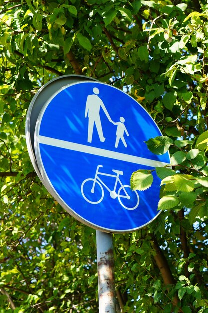 Вертикальный снимок синего знака с иконами людей и велосипеда в парке