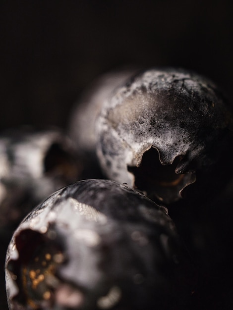 Vertical shot of blueberry on a dark background