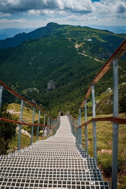 Foto gratuita ripresa verticale di una passerella immersa nel verde nel parco nazionale di ceahlau, romania