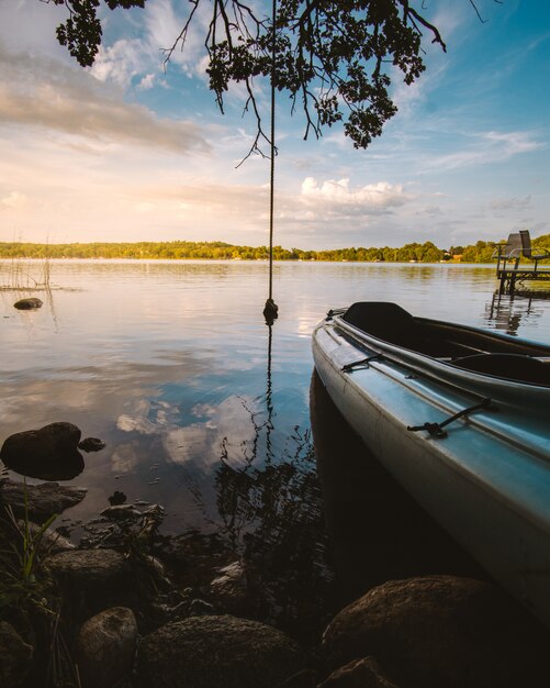 Vertical shot of a boat on a lake surrounded by plants and stones