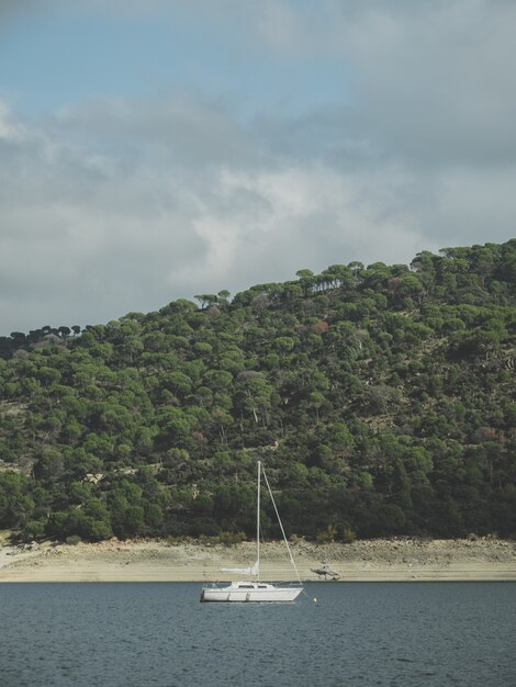 Vertical shot of a boat sailing in the sea surrounded by greenery