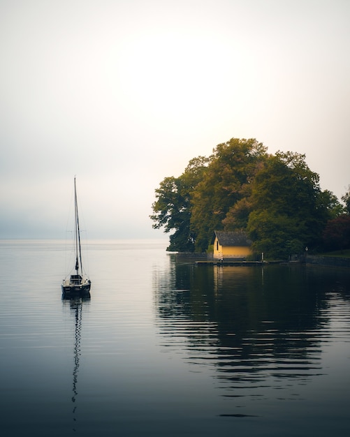 Вертикальный снимок лодки и небольшого дома с высокими деревьями на берегу океана