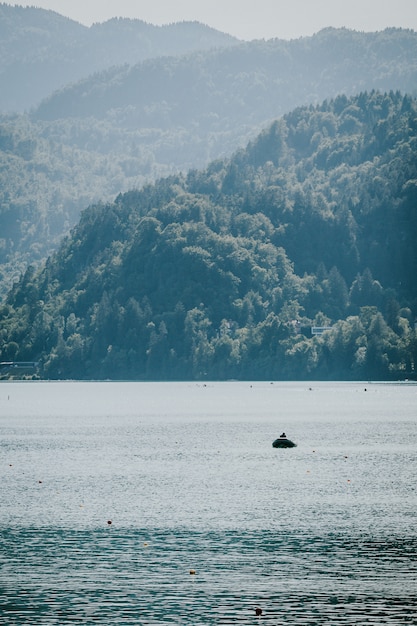 Vertical shot of a boat on the water with forested mountains