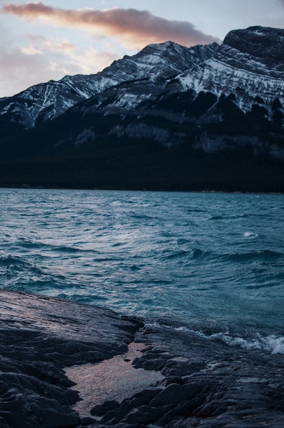 Free photo vertical shot of the body of water near the snowy mountain