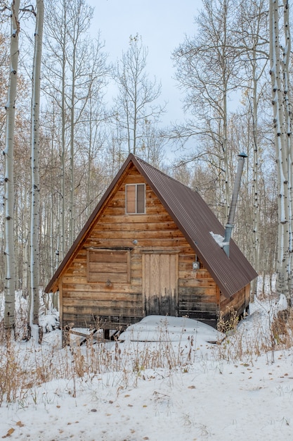 Vertical shot of a brown wooden house in the middle of a snowy forest