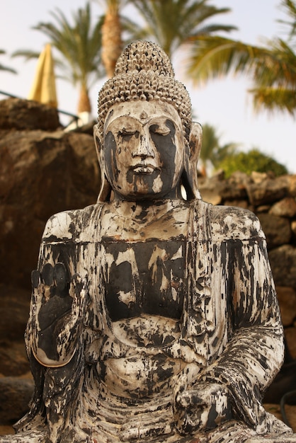 Вертикальный снимок статуи Будды