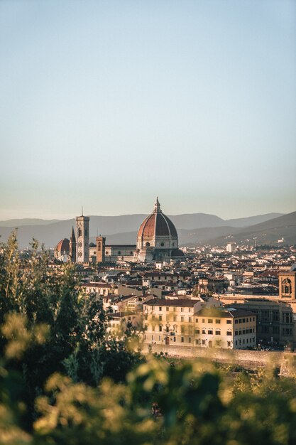 Vertical shot of the buildings in Florence, Italy from a hill