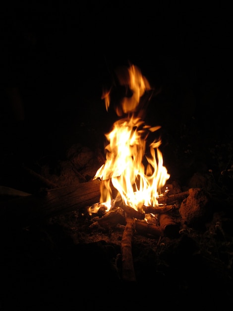 Vertical shot of burning wood in a campfire at night