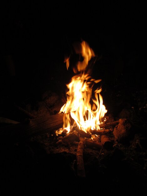밤에 모닥불에 불타는 나무의 수직 샷
