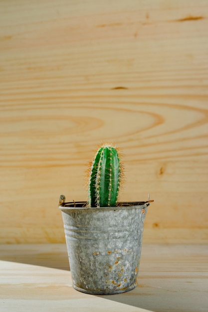 Vertical shot of a cactus in a silver bucket pot with a wooden surface